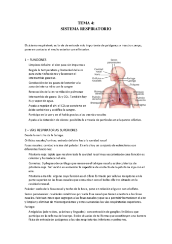 TEMA-4.pdf