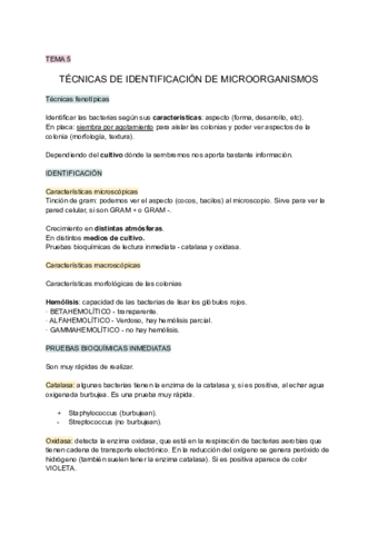 Tema-5-TECNICAS-DE-IDENTIFICACION-DE-MICROORGANISMOS.pdf