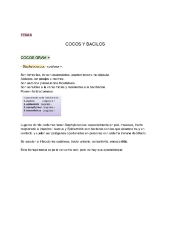 TEMA-6-COCOS-Y-BACILOS.pdf