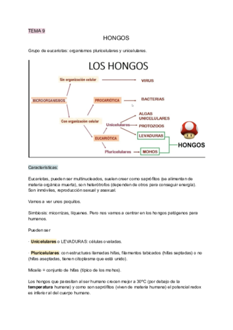 Tema-9-HONGOS.pdf