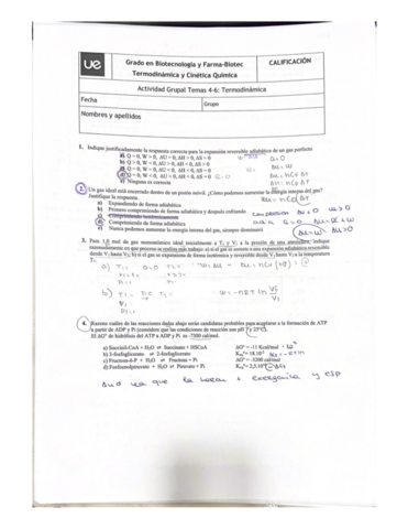 Actividad-grupal-.pdf