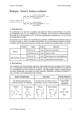 Tema-5-Acidos-nucleicos.pdf