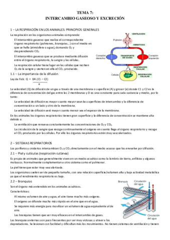 TEMA-7.pdf