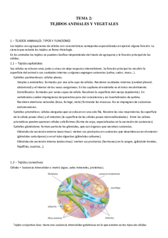 TEMA-2.pdf