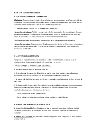 TEMA-6-ECONOMAA.pdf