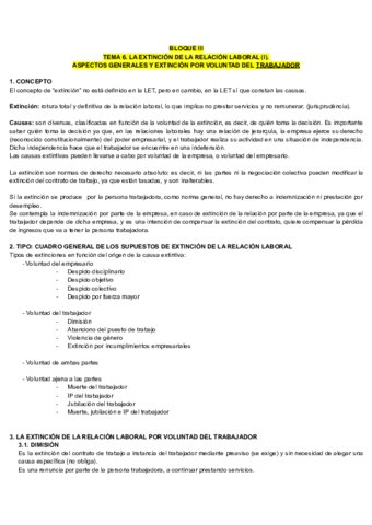 TEMA-6.pdf