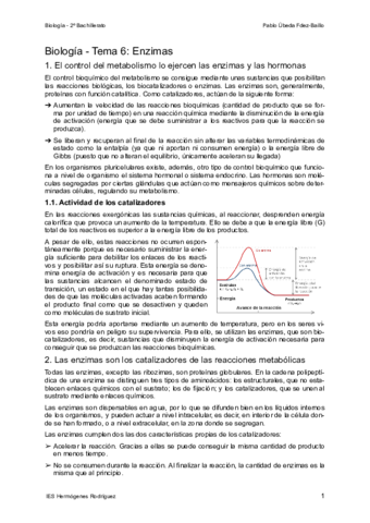 Tema-6-Enzimas.pdf