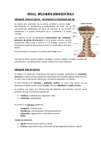 Tema-8-AFMQ-II.pdf