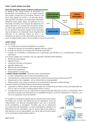 Clase-1-2-3-4-5.pdf