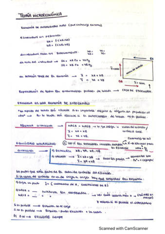 Micro-Theory-ESQUEMA-1er-parcial-ESPANThOL.pdf