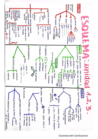 esquema-basico-temas-1-2-y-3.pdf