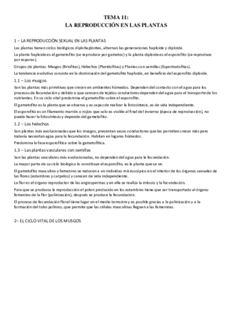 TEMA-11.pdf