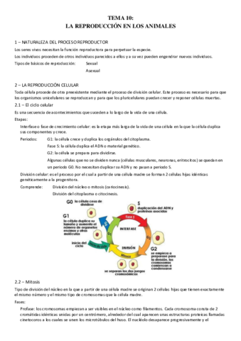 TEMA-10.pdf