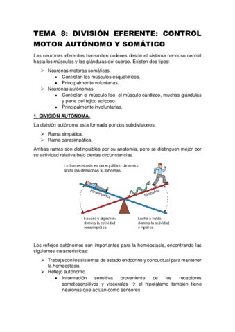 TEMA-8-DIVISION-EFERENTE-CONTROL-MOTOR-AUTONOMO-Y-SOMATICO.pdf