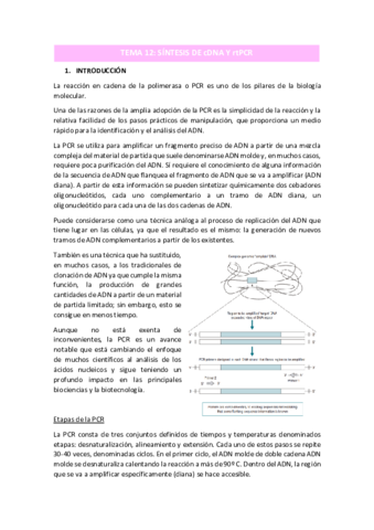 TEMA-12.pdf