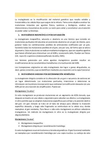 TEMA-7.pdf