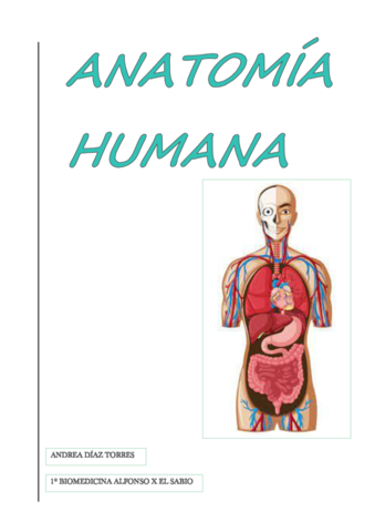 ANATOMIA.pdf