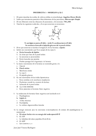 Preguntas Pruebecitas.pdf