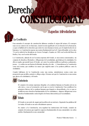 Apuntes-Consti-I.pdf