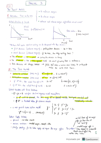 micro-cuanti-parcial-3.pdf