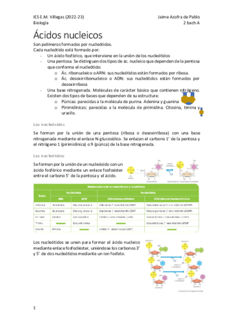 Acidos-nucleicos.pdf