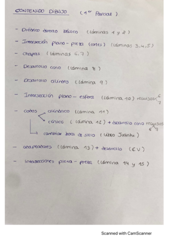 Laminas-1o-Parcial-Expresion-con-PASOS.pdf