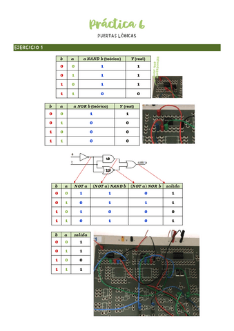 PRÁCTICA 6