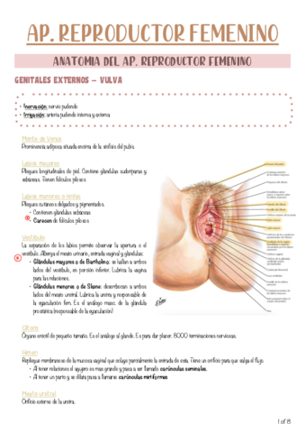 Todo-EVOLUTIVA-I.pdf