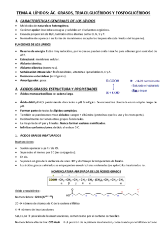 TEMA-4.pdf