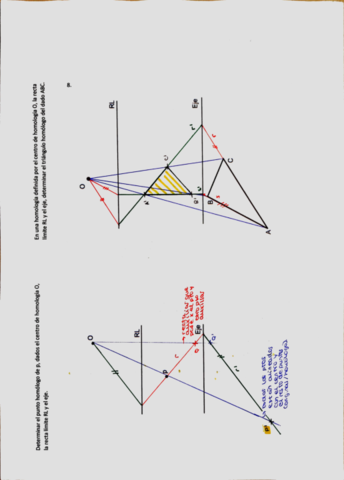 afinidad-y-homologia-.pdf