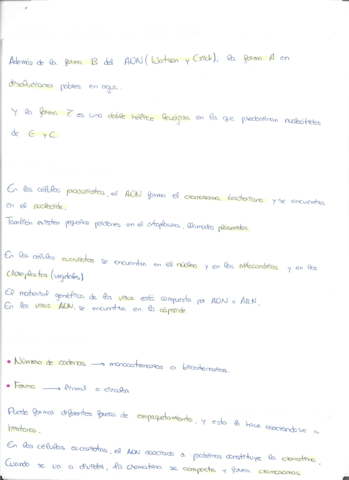 Escaner20221117-3.pdf