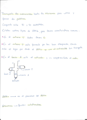 Escaner20221117-5.pdf