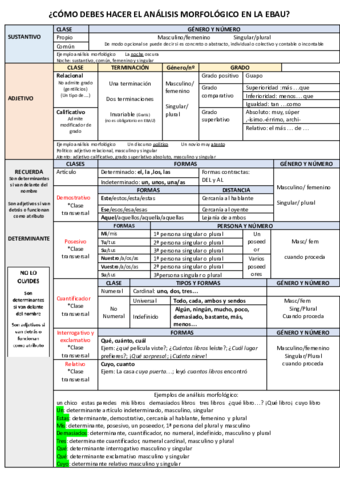 Guia-morfologia-EBAU.pdf