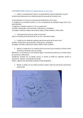 niveles-de-organizacion-de-los-seres-vivos.pdf