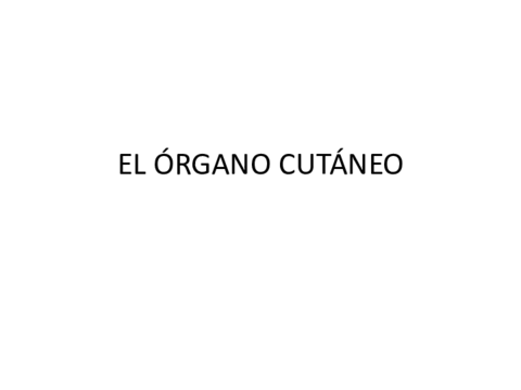el-organo-cutaneo.pdf