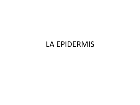 la-epidermis.pdf