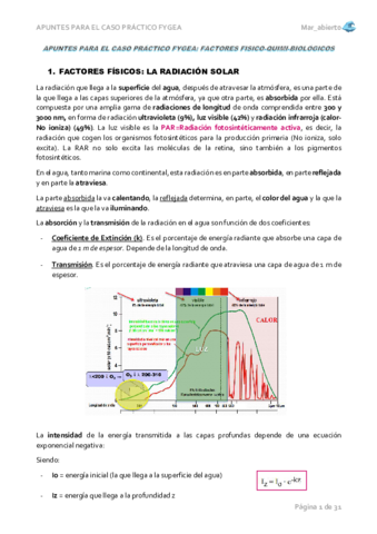 APUNTES-COMPLETOS-CASO-PRACTICO.pdf