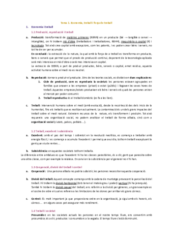 APUNTS ECONOMIA TEMES 1 - 2 - 3.pdf