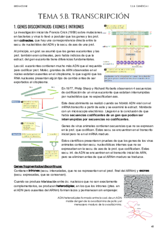 Tema-5B-Transcripcion.pdf