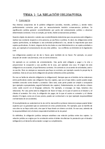 tema1civil.pdf