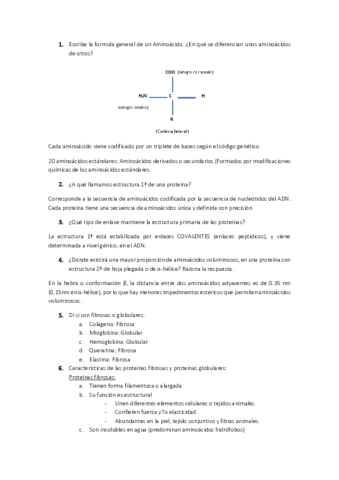 PREGUNTAS-EXAMEN-OLGA.pdf