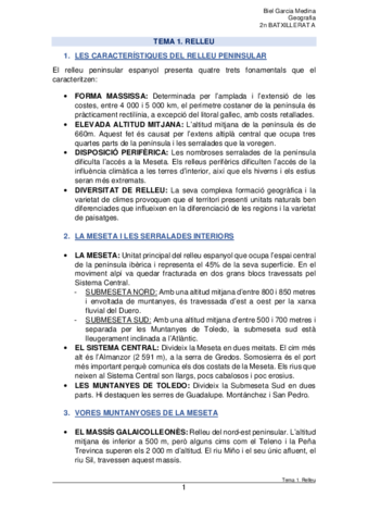 Tema-1.pdf
