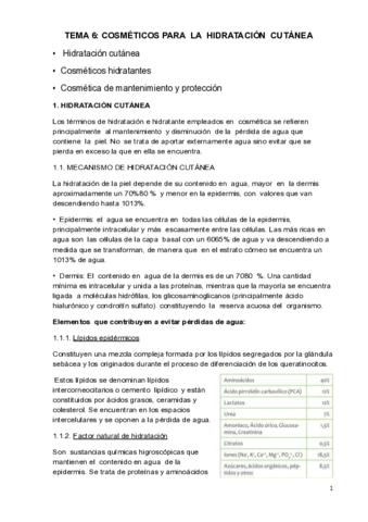 TEMA-6.pdf