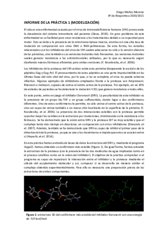 Informe-de-Practicas-Modelizacion-I.pdf