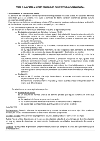 TEMA-2.pdf