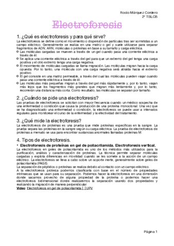 electroforesis.pdf