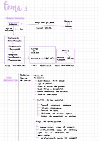 Esquema-T-3.pdf