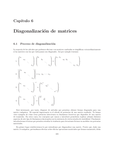 06-Diagonalizacion.pdf