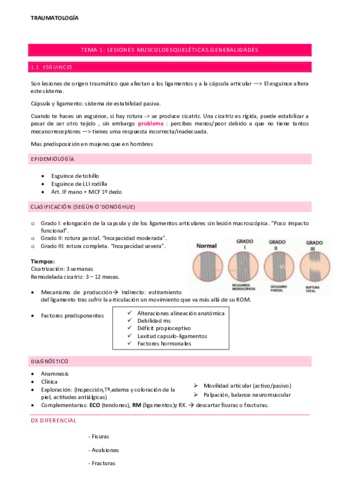 Tema-1-Lesiones-Musculoesqueleticas.pdf