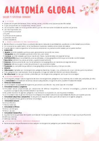 ANATOMIA-GLOBAL.pdf